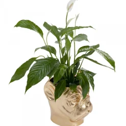 Bulldog plantenbak goud - Kare Design Bulldog Gold