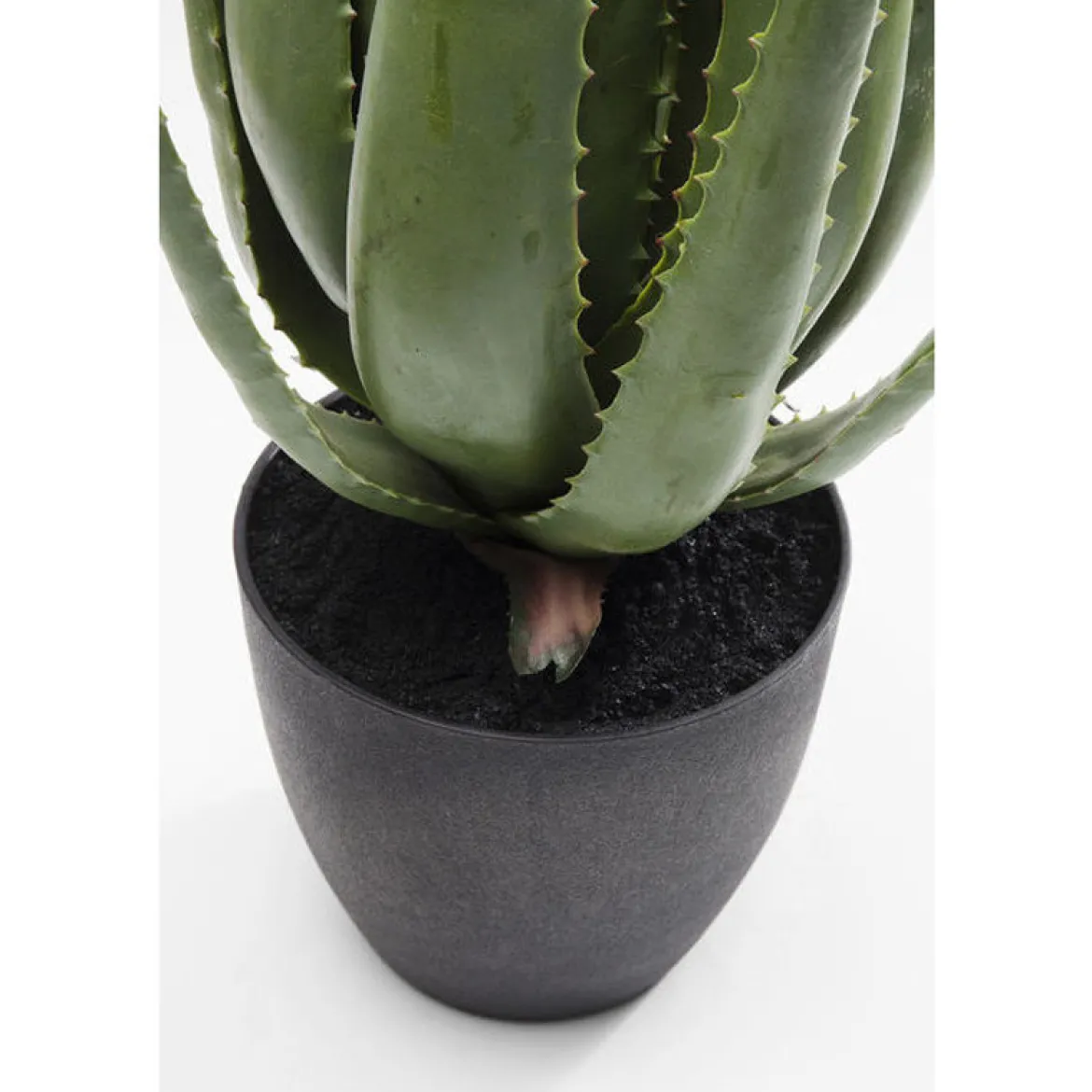 Deco plant aloe vera - Kare Design Deco plant