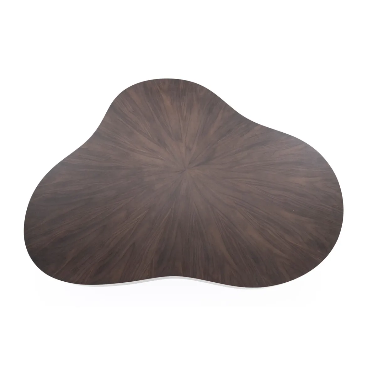 Grote salontafel organisch hout - Eleonora Bobbie