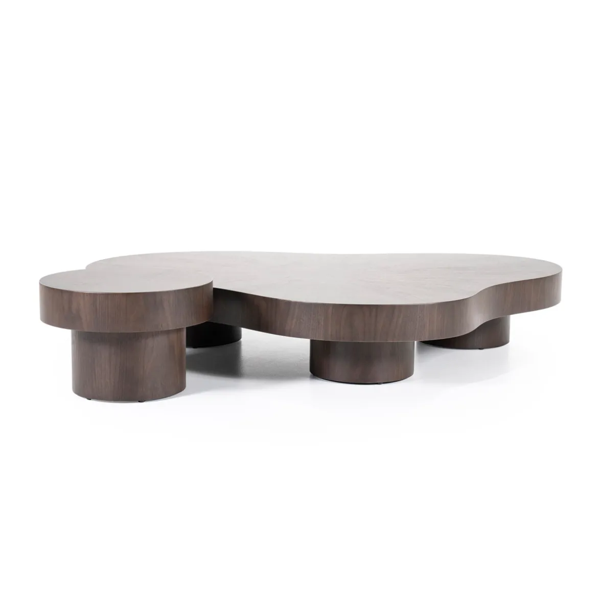 Grote salontafel organisch hout - Eleonora Bobbie