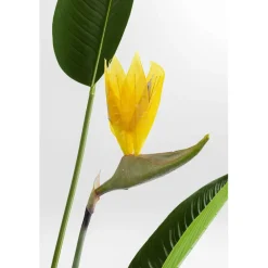 Kunstplant sterlitzia - Kare Design Paradise Flowers