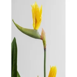 Kunstplant sterlitzia - Kare Design Paradise Flowers