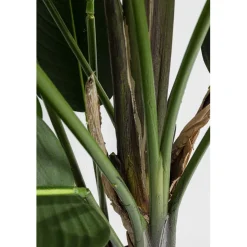 Kunstplant sterlitzia - Kare Design Paradise Flowers