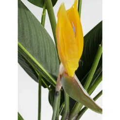 Kunstplant sterlitzia - Kare Design Paradise Flowers