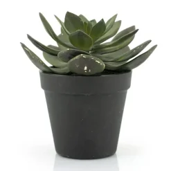 Kunst vetplant met pot 16,5 cm - By-Boo Succulent Echeveria 2