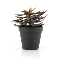 Kunst vetplant met pot 18 cm - By-Boo Succulent 2