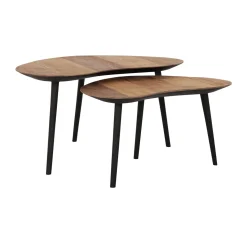 Organische salontafel set teak - DTP Home Organus