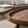 Organische salontafels met metaal frame - Giani Carve