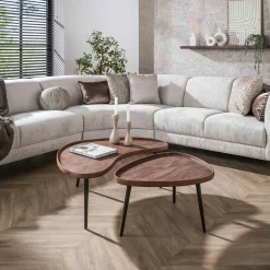 Organische salontafels met metaal frame - Giani Carve