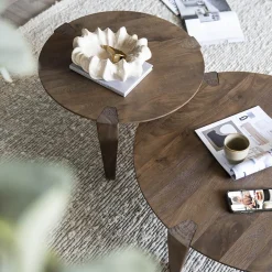 Ronde salontafel mangohout - Eleonora Davina
