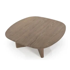 Salontafel bruin eiken - Eleonora Stef